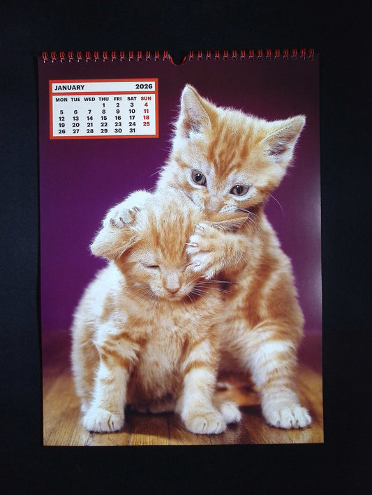 TOILETPAPER *** CALENDAR 2026
