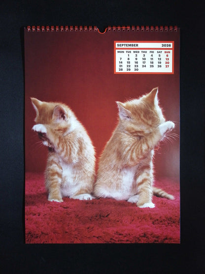 TOILETPAPER *** CALENDAR 2026