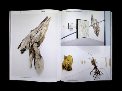 L'ES [50009] VOL.09 2025/2026
