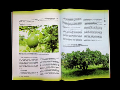 Taiwan Panorama 光華雜誌(中英文國內版) [2026-06] Vol.51 No.6 - Part 3