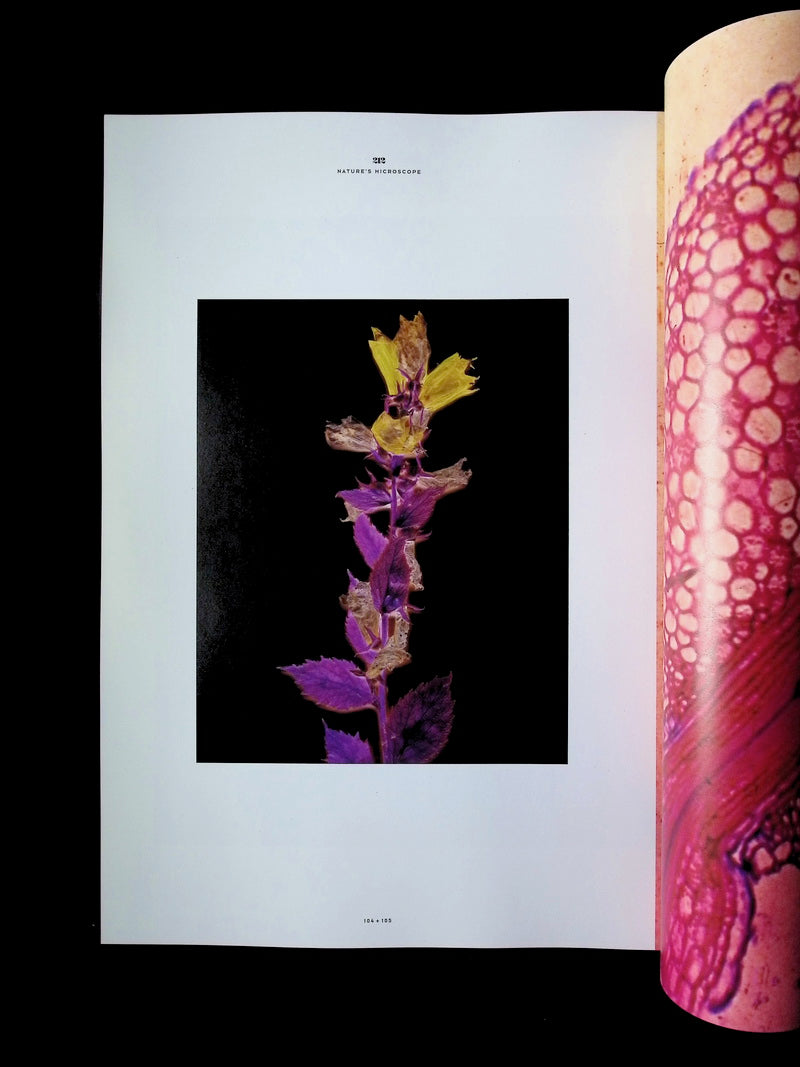 212 *** [20] No.20 Autumn/Winter 2025