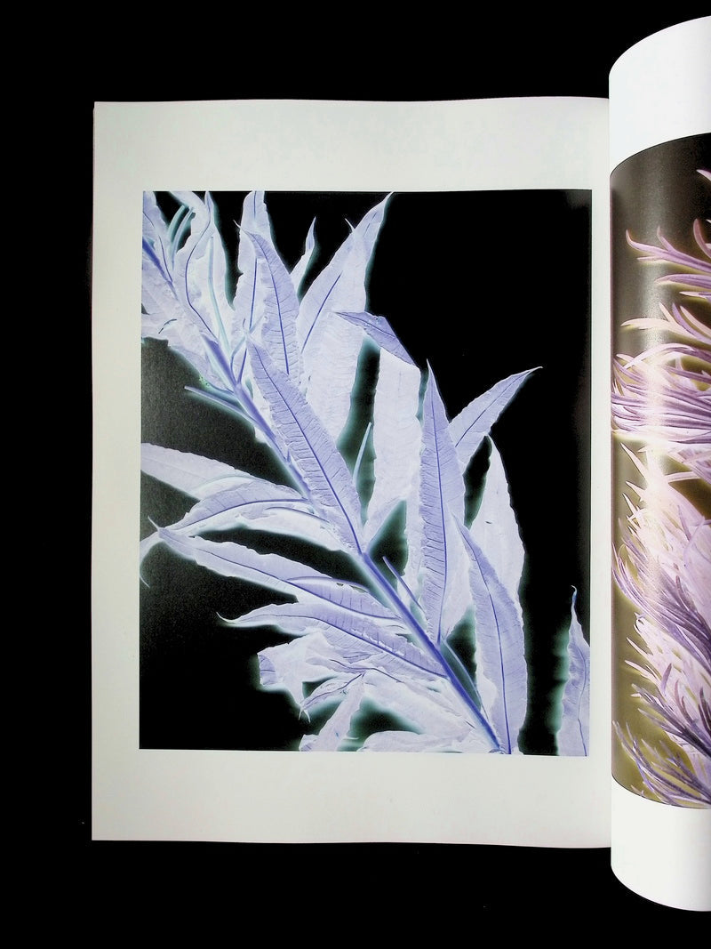 212 *** [20] No.20 Autumn/Winter 2025