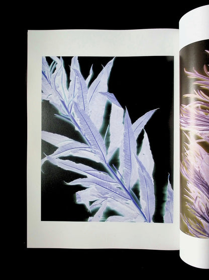 212 *** [20] No.20 Autumn/Winter 2025