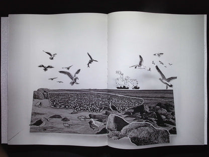 foam : The Test of Time *** NO.67