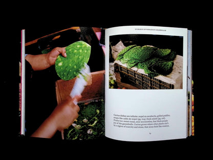EI Bajio:Recipes & Wanderings Through Mexico - Part 3