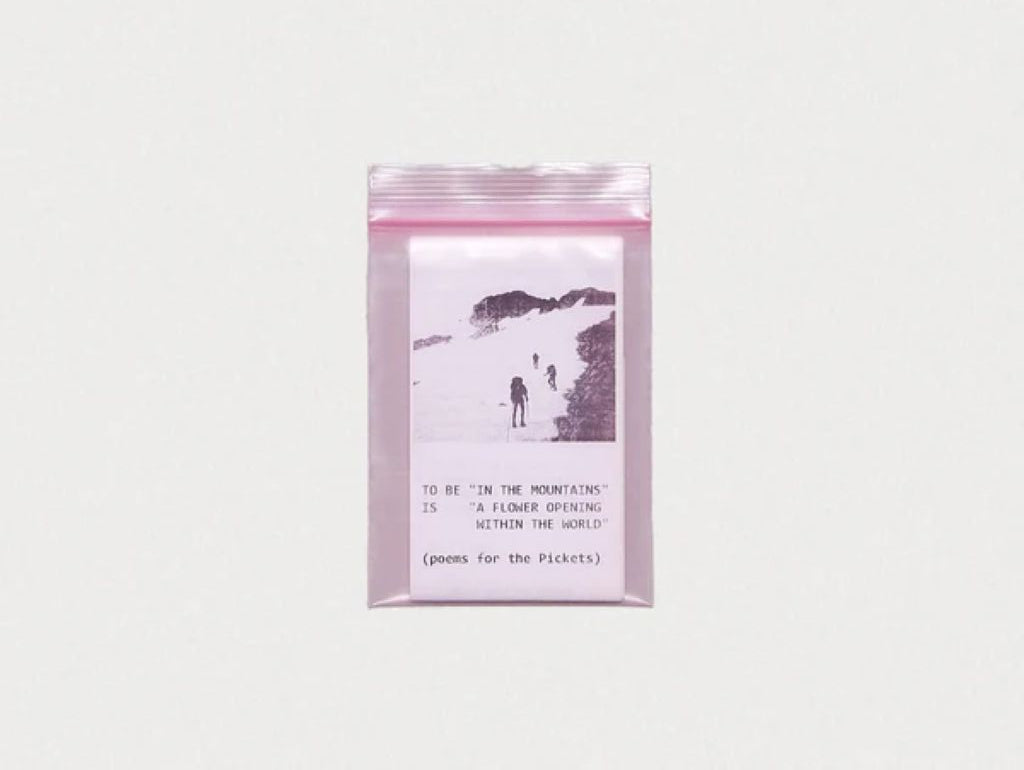 TO BE “IN THE MOUNTAINS” IS “A FLOWER OPEN